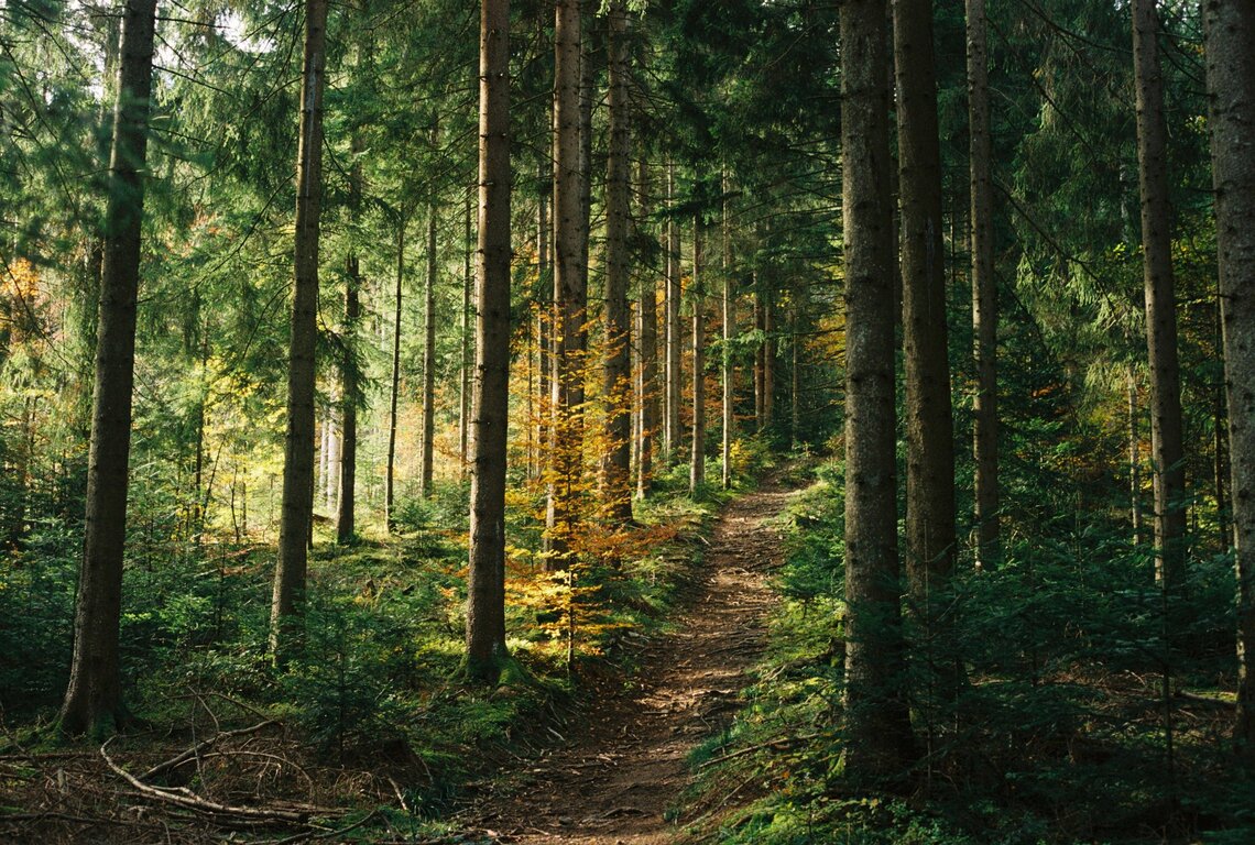 Bavaria, Germany - 10/1/2023