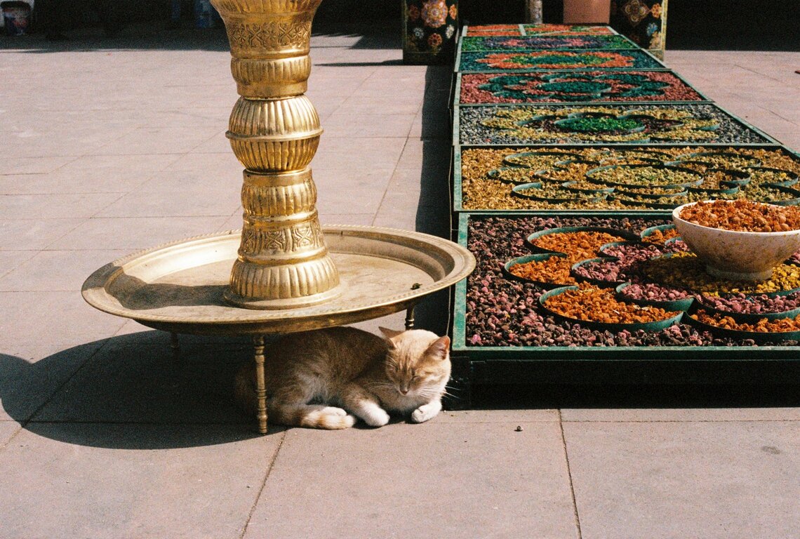 Marrakesh, Morocco - 2/1/2024